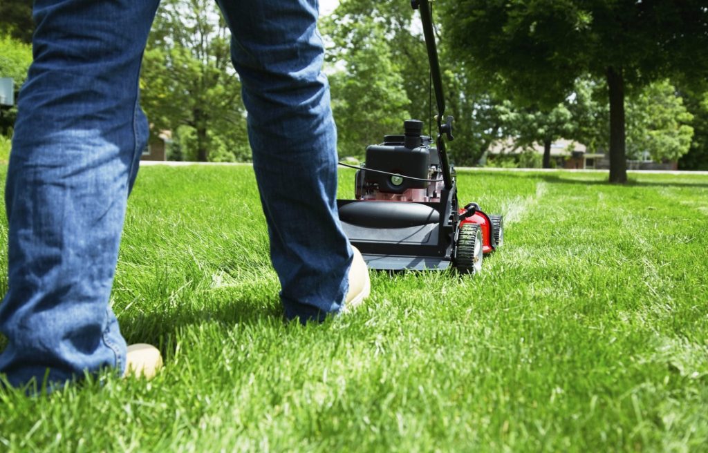 garden services company