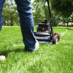 garden services company